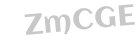 Captcha - grafischer Zugangscode